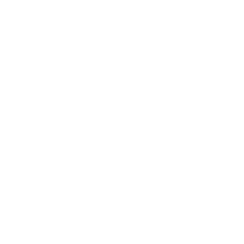 Irilus